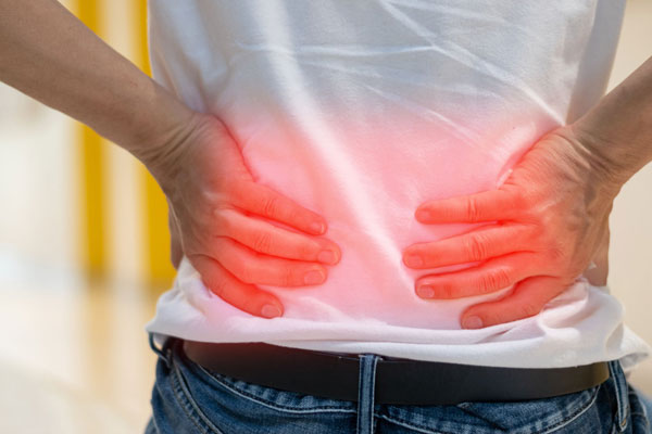 Chiropractic Services at Shutt Chiropractic Center Chiropractic Services at Shutt Chiropractic Center