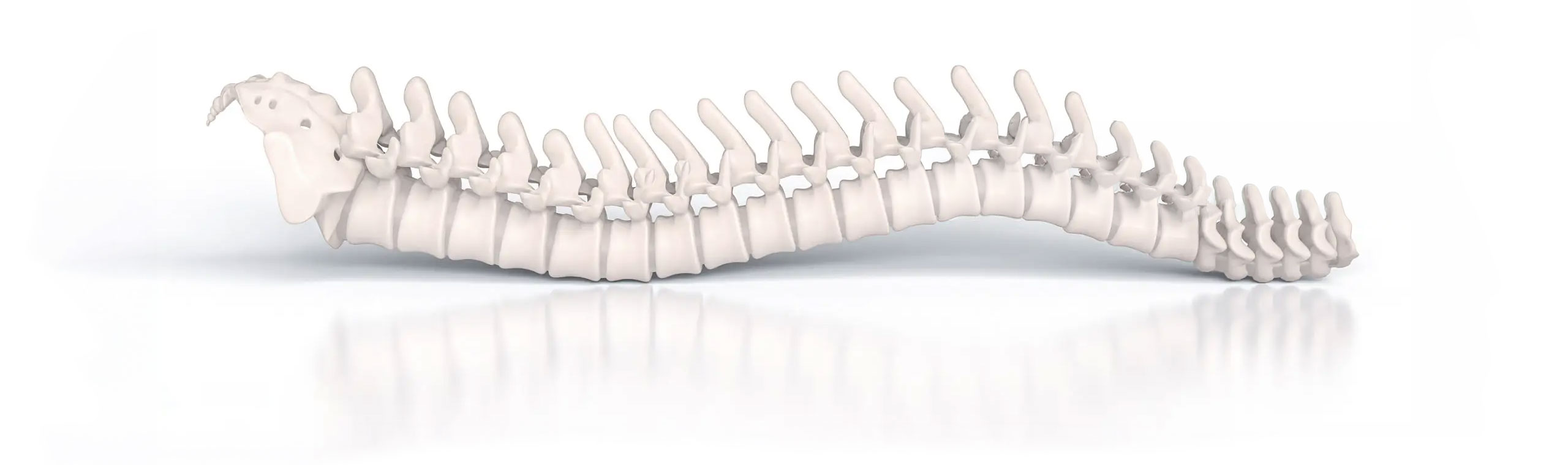 Shutt Chiropractic Center